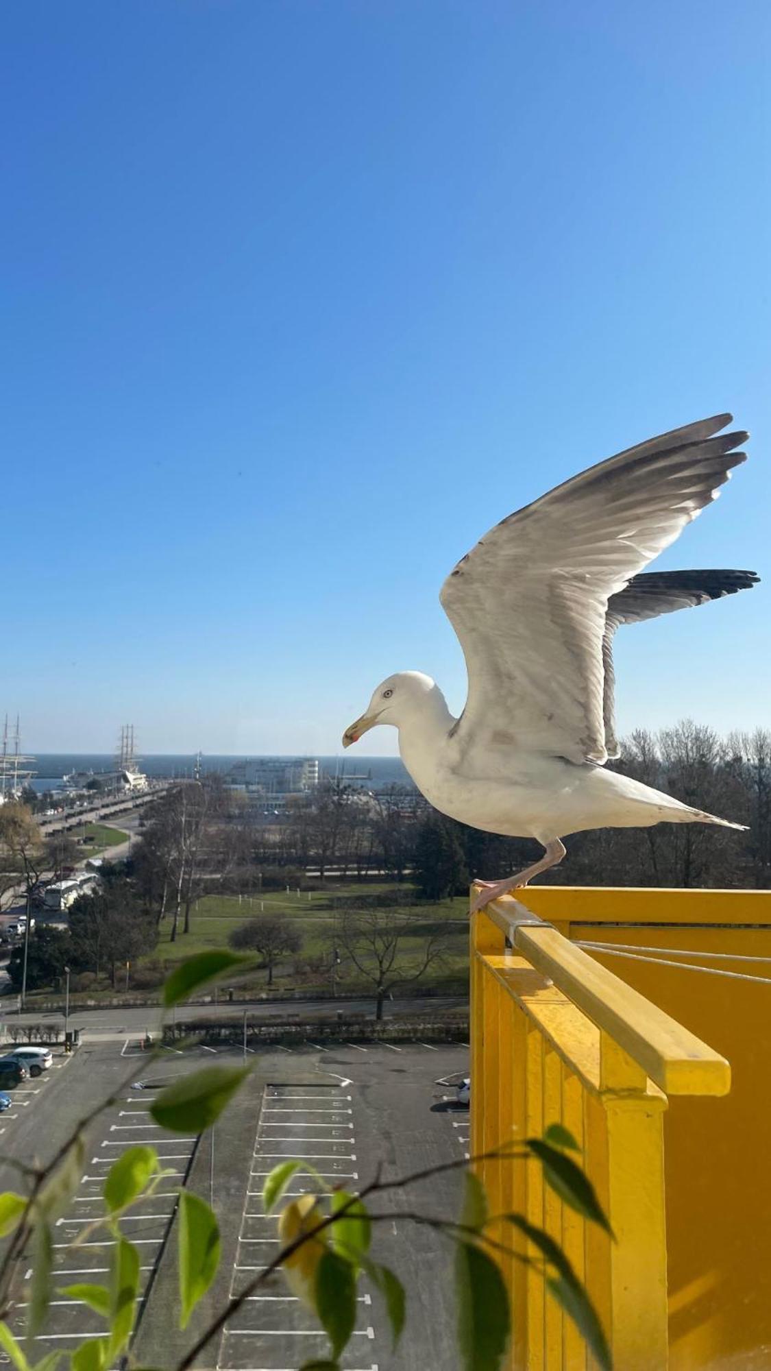 Appartement Gdynia Skwer Kosciuszki Extérieur photo